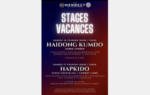 Stage Haidong Kumdo - Mennecy